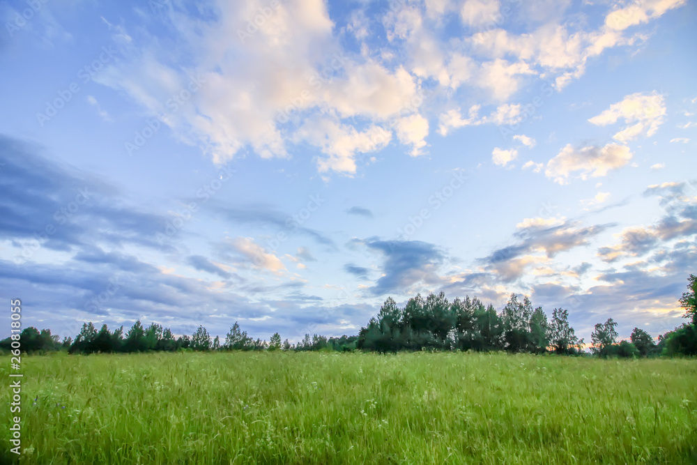 Obraz premium Summertime in countryside in Latvia, East Europe. Landscape view with green field, forest and blue sky with clouds in sunny summer day