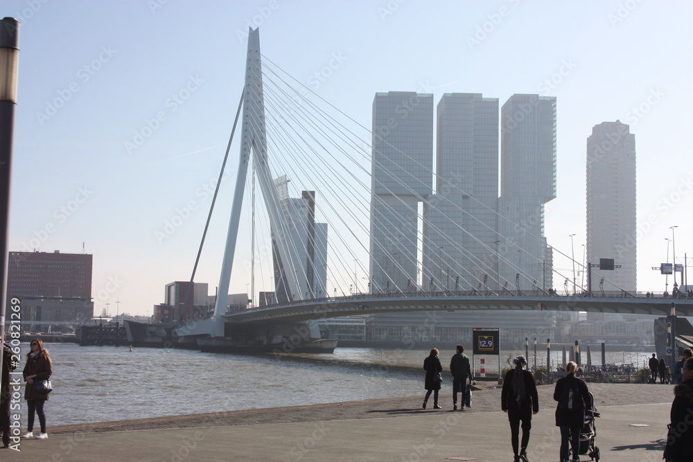 The famous Erasmus Bridge amidst the mist on a late autumn day in Rotterdam, Holland, the Netherlands