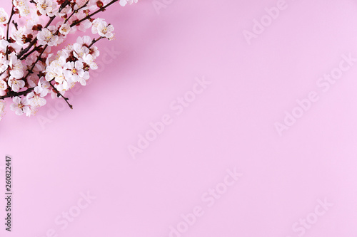 Bunch of spring flowering branches with a lot of white-pink blossoms on paper background. Rustic composition w/ spring flowers on paper textured backdrop. Close up, copy space, top view.