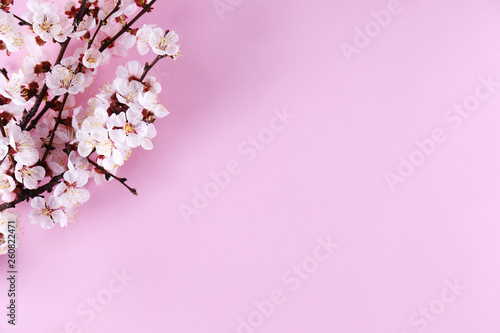Bunch of spring flowering branches with a lot of white-pink blossoms on paper background. Rustic composition w/ spring flowers on paper textured backdrop. Close up, copy space, top view.