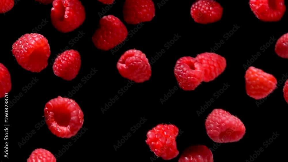 Slow motion of ripe juicy raspberry fly and rotates in the air on a black background