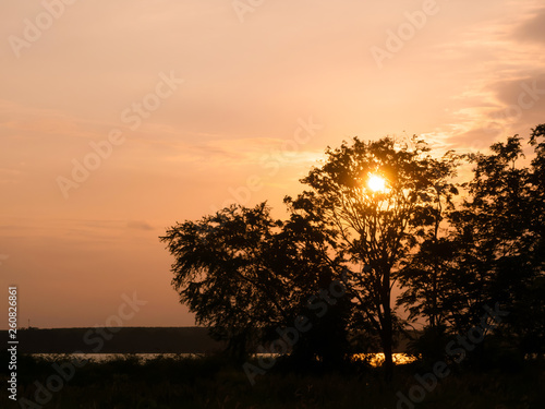 Sunset, the color of the evening sky with the shadow of a tree with beautiful light, beautiful forest landscape,silhouette