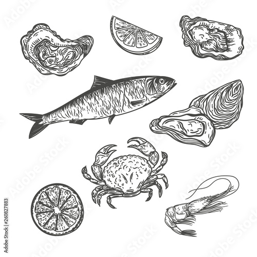 Vector hand drawn set of sardine fish, oysters, crab, shrimp and lemons isolated on white.