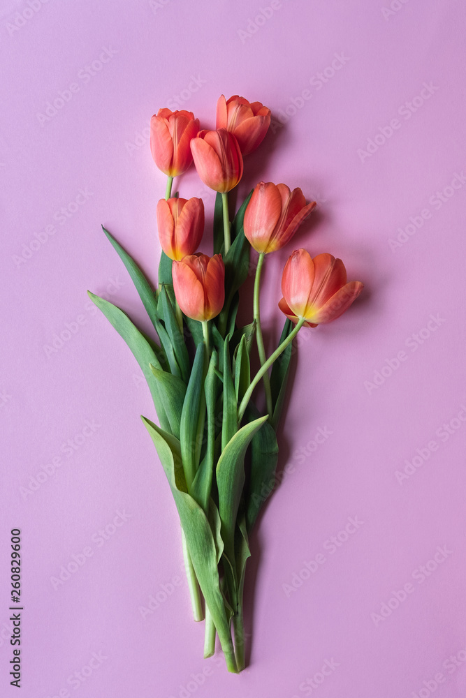 Red tulips on pink background. Beautiful flowers on color dask. Red tulips on pink background. Beautiful flowers on color dask.