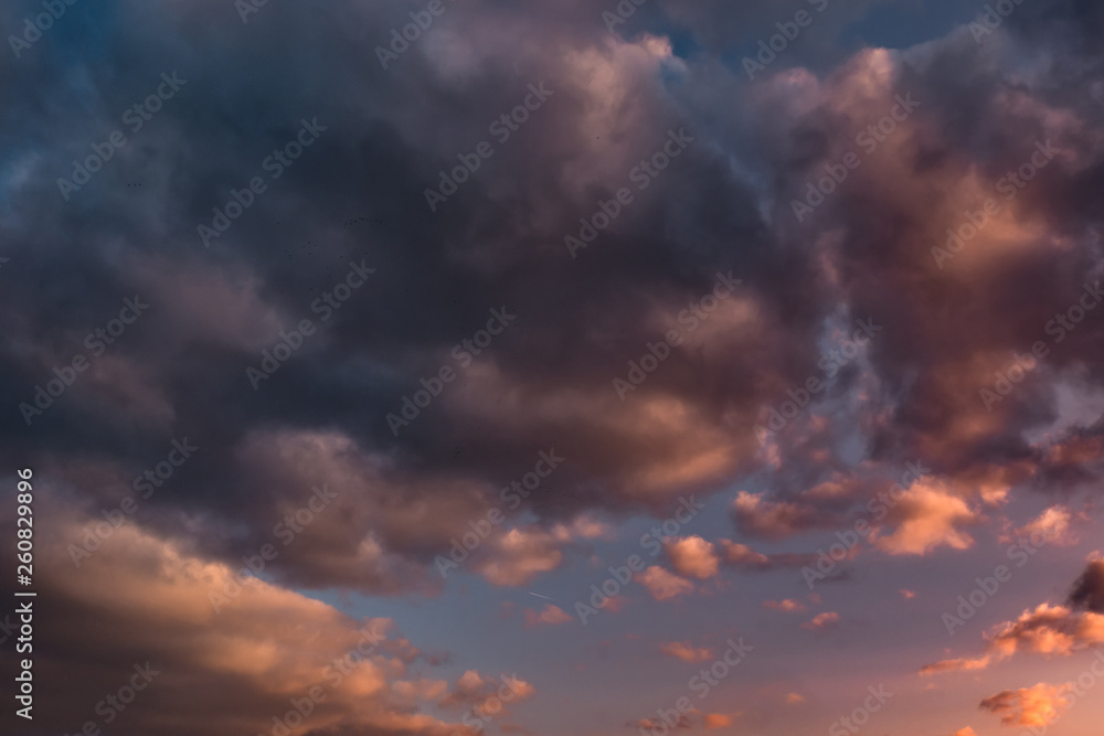 Blue sky background with evening fluffy curly rolling altocumulus altostratus clouds with setting sun. Good windy weather