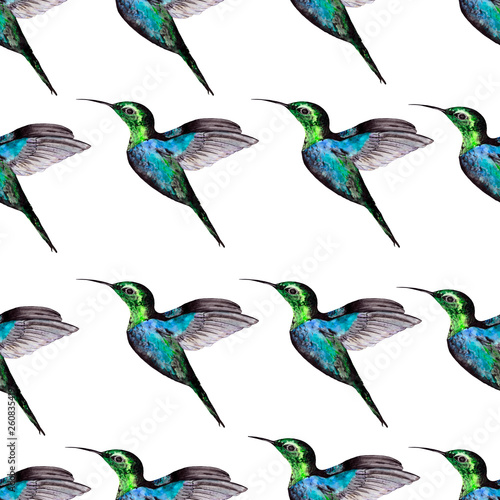 Watercolor seamless pattern with exotic painted Hummingbird birds. Illustration for Wallpaper, original backgrounds, textiles and packaging. © Svetlana