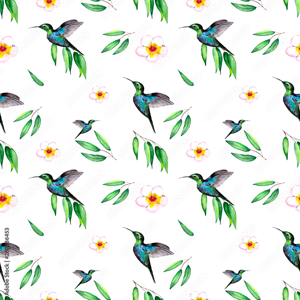 Delicate watercolor pattern with flowers, eucalyptus leaves and rare Hummingbird birds. Abstract background for textiles, Wallpaper or wrapping.