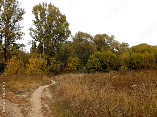 autumn landscape with river and trees