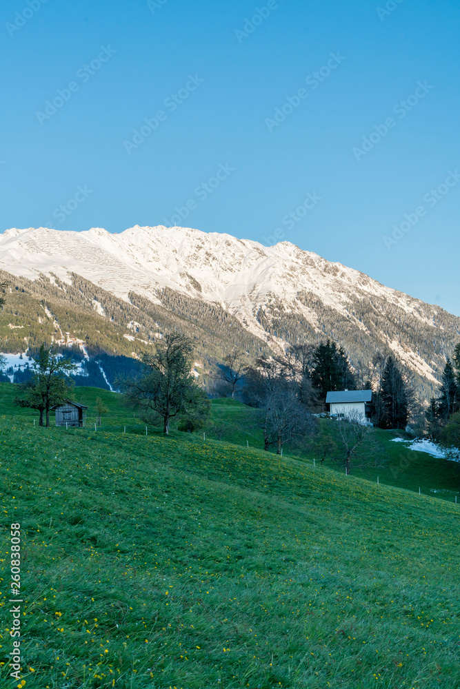 Naklejka premium Frühling in den Alpen