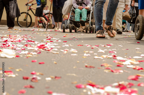  many petals of flowers on the road on which people go