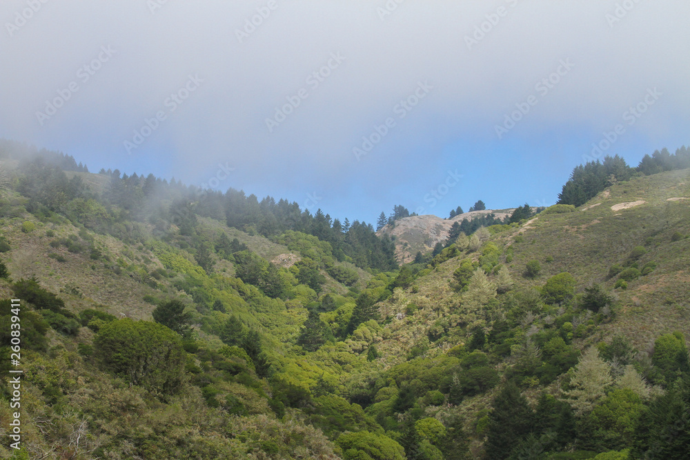 California Costal Mountains