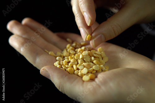 Handful of yellow split peas in hand against a black background.