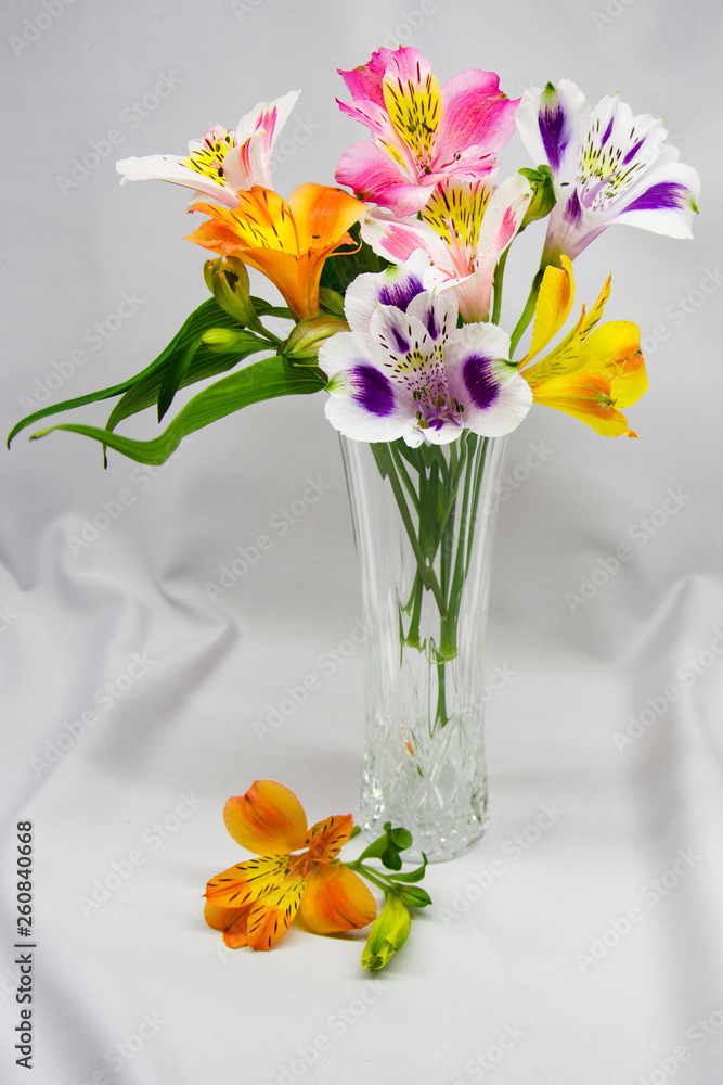 bouquet of flowers of Alstroemeria bouquet of flowers of Alstroemeria