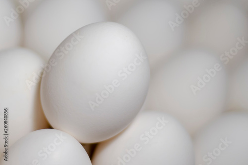  chicken eggs standing on the top of the mountain from other eggs with a backlight