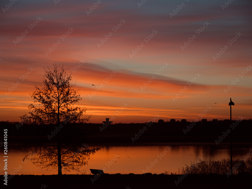 Naklejka premium Morning in Helsinki, Finland - Stunning view from Arabianranta district and park