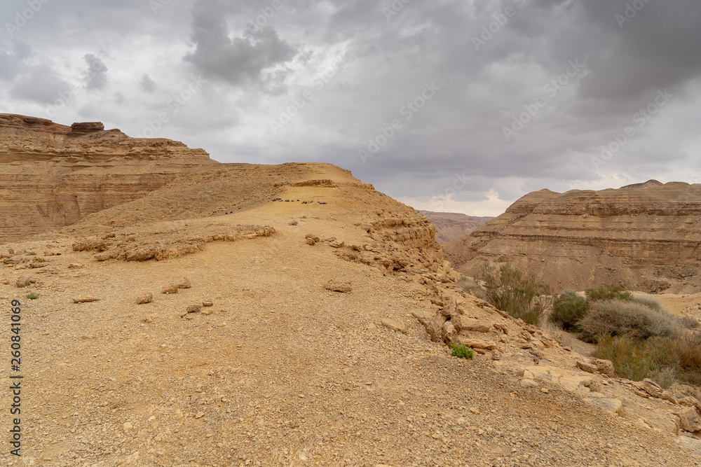 Trekking in winter desert of Israel tourism