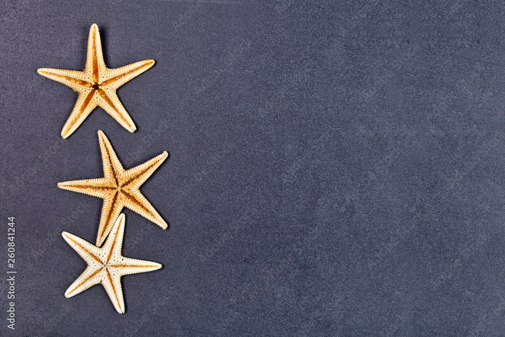 Top view of three starfish on black background. Top view of three starfish on black background.
