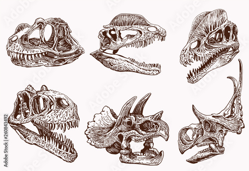 Graphical vintage set of dinosaur skulls ,vector retro sketch