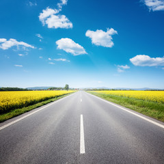 Asphalt road among the summer field under blue cloudy sky