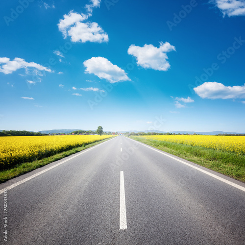 Asphalt road among the summer field under blue cloudy sky