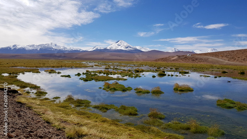 A valley in the highlands of the Atacama Desert along the road to El Tatio Geysers, with lagoons and the snowy volcanoes of the Andes in the background, Chile