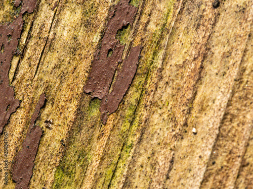 Hintergrund aus Holz und brechendem Lack photo