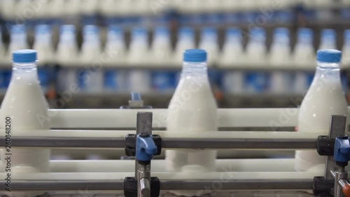 Plastic bottles with milk transported on automated production line