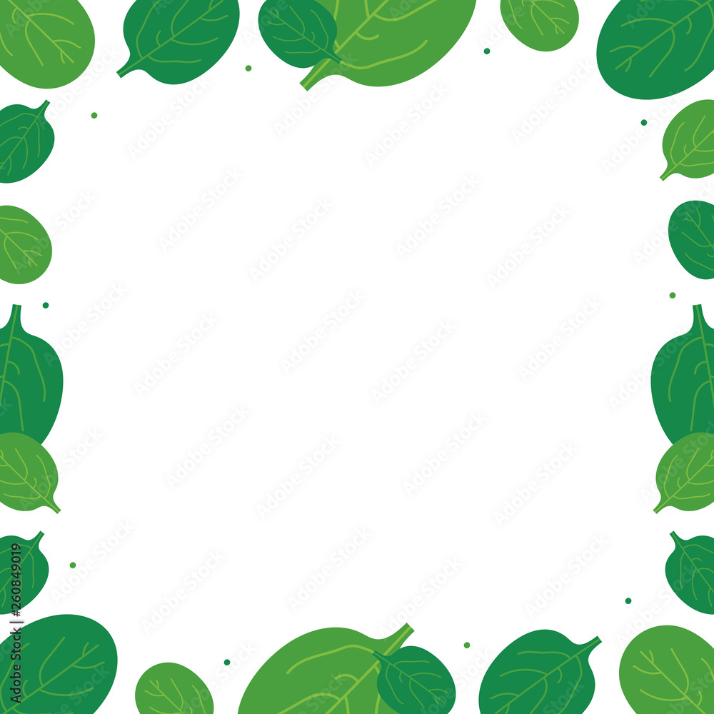Vector cartoon style card template, frame, border, background with spinach leaves.