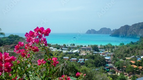Beautiful view of the sea, tropical plants and rocks and mountains. Exotic pink flowers. Green island in the ocean, Phi-Phi island. Thailand.