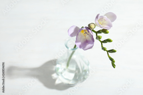 Beautiful fresh freesia with fragrant flowers in vase on white background