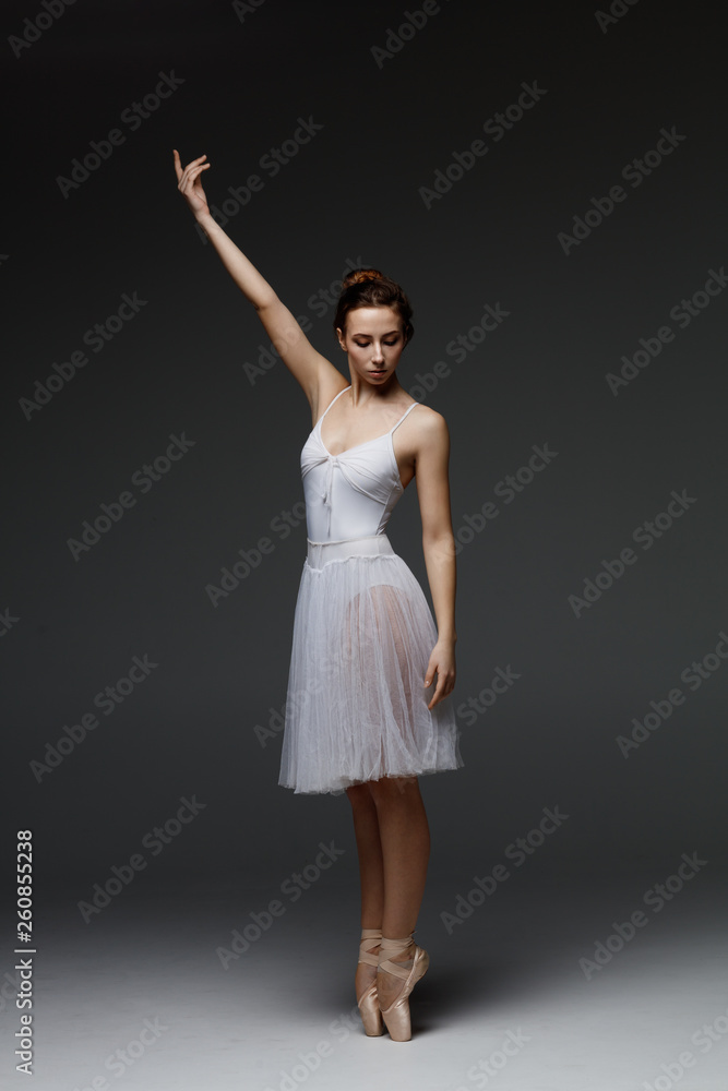 Young beautiful ballerina is posing in studio Young beautiful ballerina is posing in studio