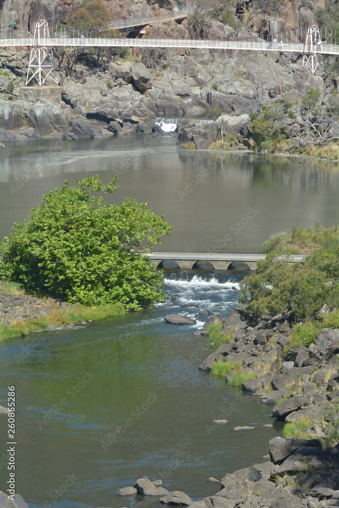 Fototapeta premium Alexandra Suspension bridge Launceston Tasmania Australia