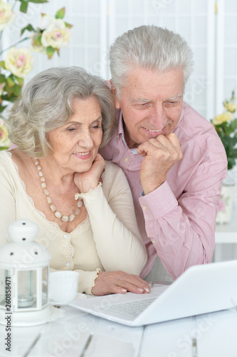 Happy senior couple portrait drinking tea and using laptop
