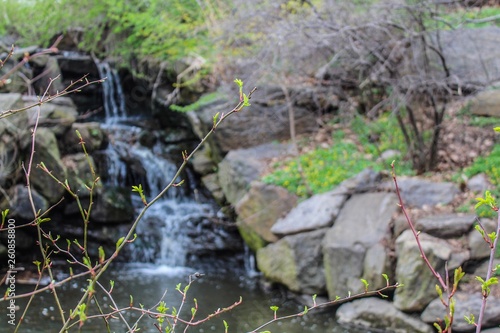 Fototapeta Naklejka Na Ścianę i Meble -  Waterfall in Central Park 
