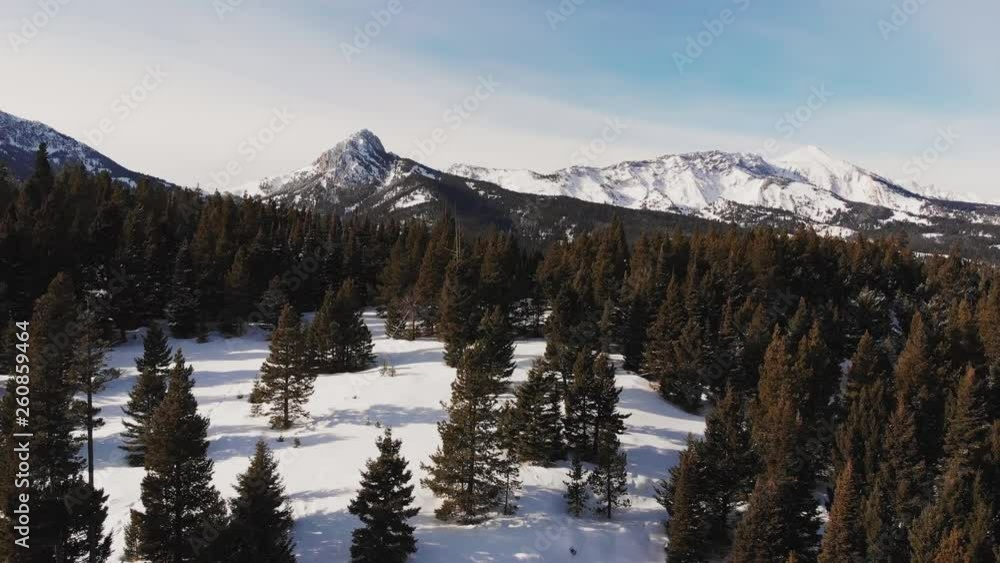 Pleasantful Ross peak snow winter season at golden hour in Montana town
(drone shot) Pleasantful Ross peak snow winter season at golden hour in Montana town
(drone shot)