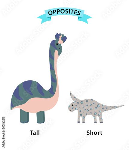 Wordcard for tall and short antonyms and opposites. Cartoon characters illustration on white background. Card for teaching aid, for foreign language learning lessons. Vector illustration