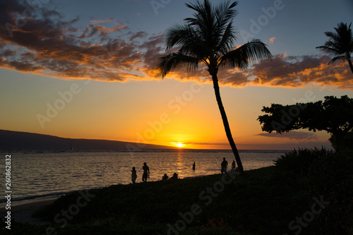 Sunst scene of ocean and palm tree from Baby Beach on Maui.