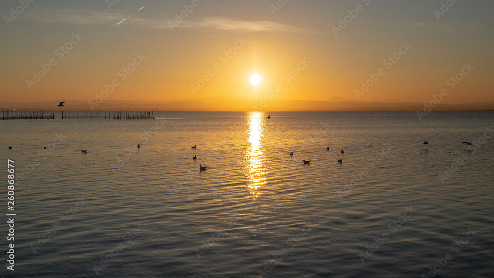Sunset in Albufera of Valencia with seagulls in the water.