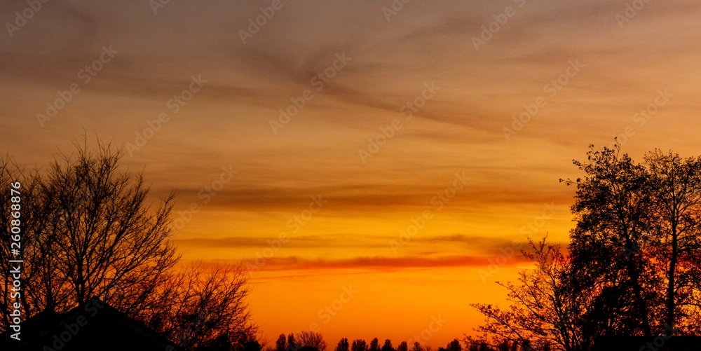 Sunset behind silhouetted trees
