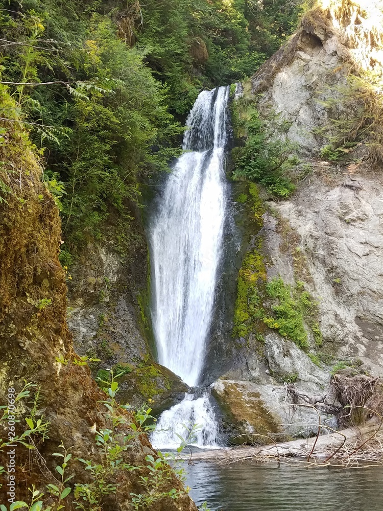 Fototapeta premium waterfall in forest