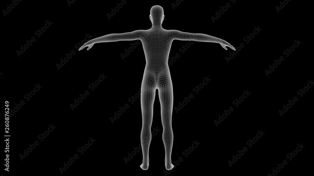 3d animation of a woman xray hologram with alpha channel 3d animation of a woman xray hologram with alpha channel