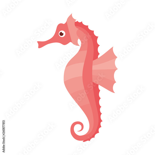 seahorse pattern isolated icon