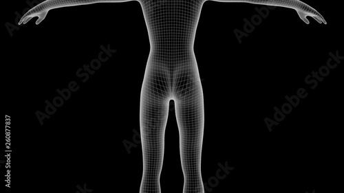 3d animation of a woman xray hologram with alpha channel 