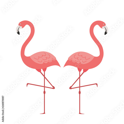 pink flamingo isolated icon