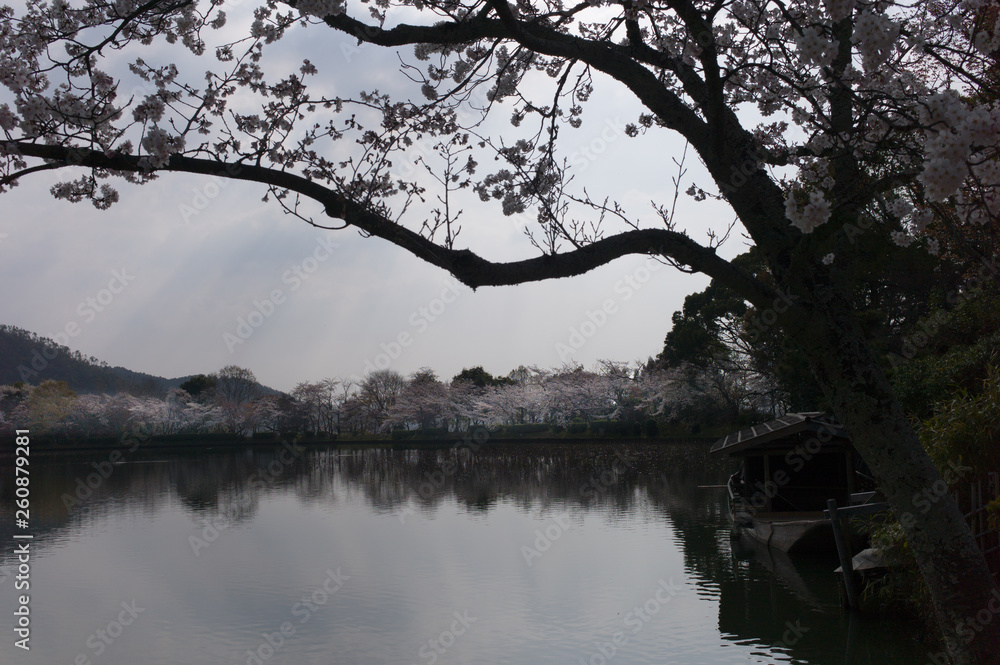 大覚寺　京都　　大沢池