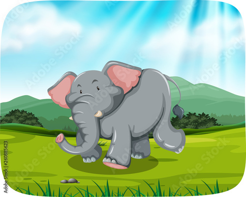 elephant in nature scene