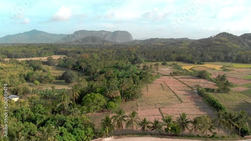Flight over rural jungle at the Philippines