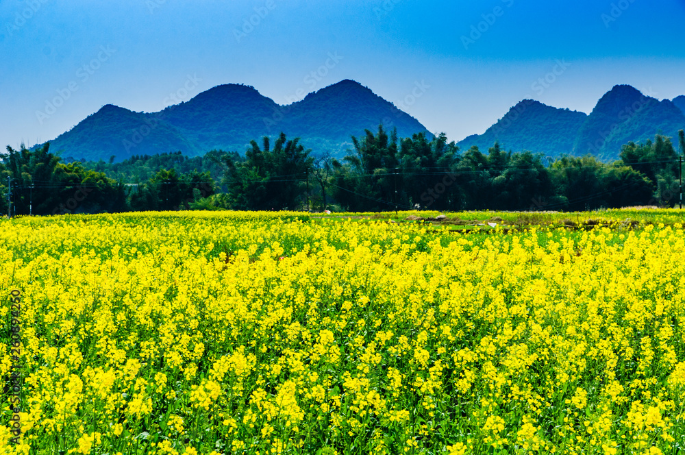 Countryside scenery with blue sky background  