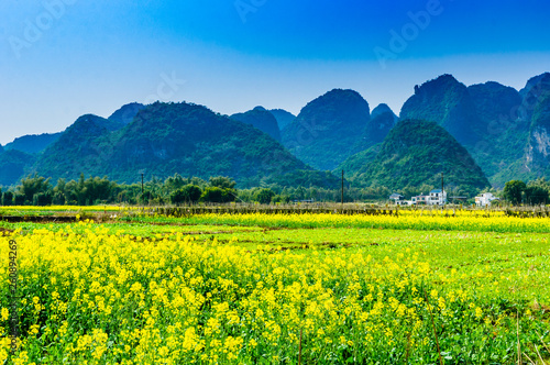 Countryside scenery with blue sky background  