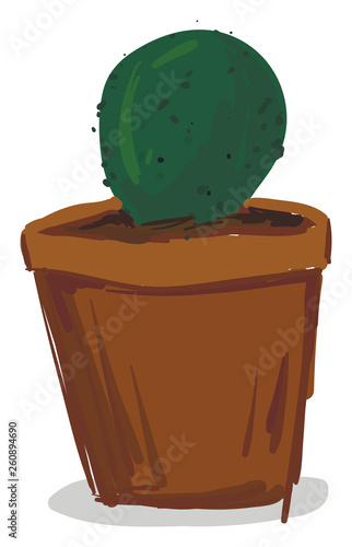 A small green cactus plant on an earthen pot vector color drawing or illustration